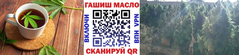 MEGA ONION  цена наркотик  Усть-Джегута  Печенье с ТГК конопля 