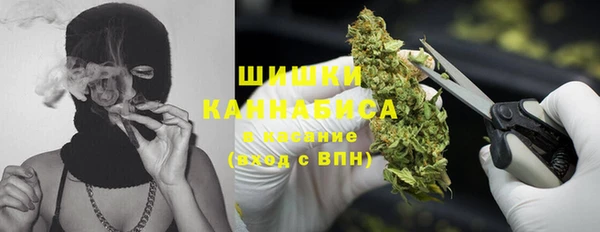 индика Бердск