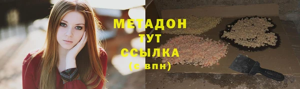 индика Бердск