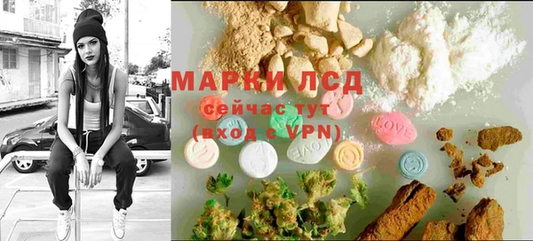 индика Бердск