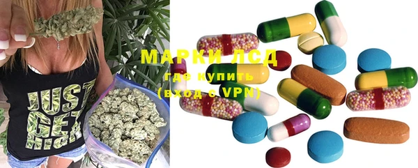 гидра Майский