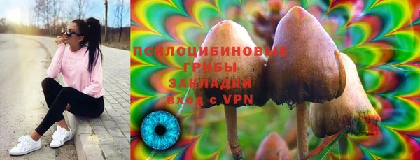 гашик Артём