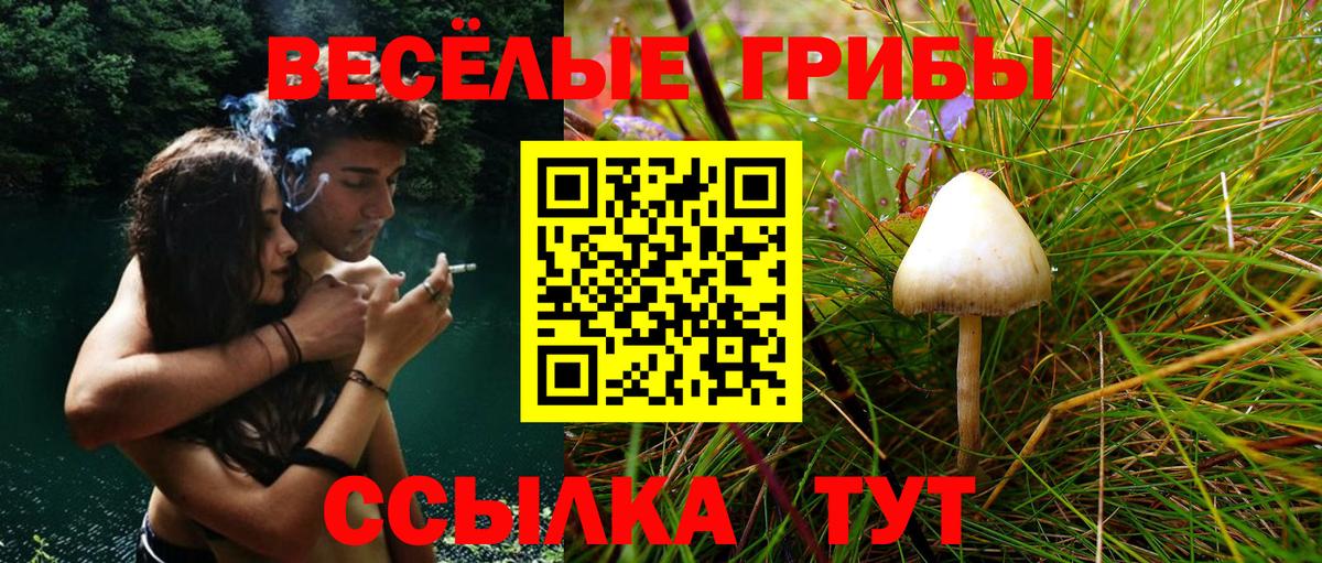 Псилоцибиновые грибы GOLDEN TEACHER Усть-Джегута