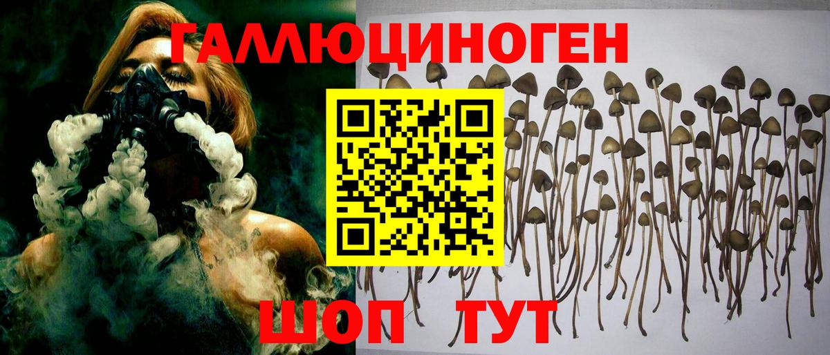Галлюциногенные грибы GOLDEN TEACHER  Вход с VPN  Усть-Джегута  Псилоцибиновые грибы Psilocybe 
